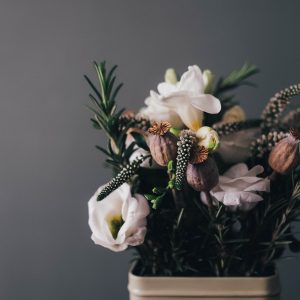 annie-spratt-59116-unsplash.jpg